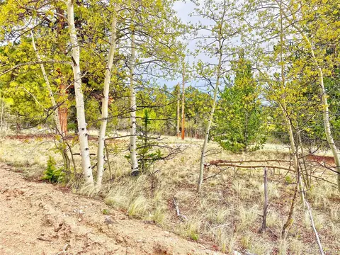 1140 Ute Trl, Como, CO 80432 photo 4