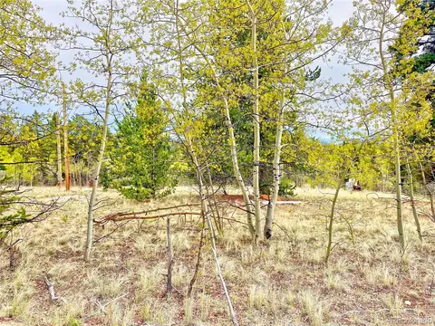 1140 Ute Trl, Como, CO 80432 photo 14