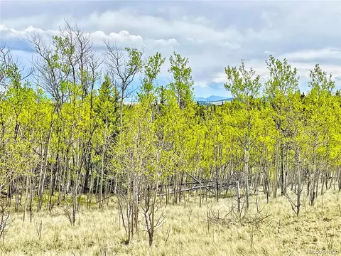 1140 Ute Trl, Como, CO 80432 photo 5