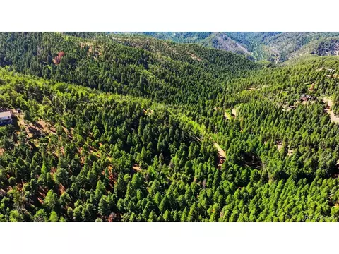 13464 S Firedog Way, Larkspur, CO 80118
