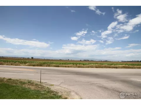 420 Madera Way, Windsor, CO 80550 photo 11