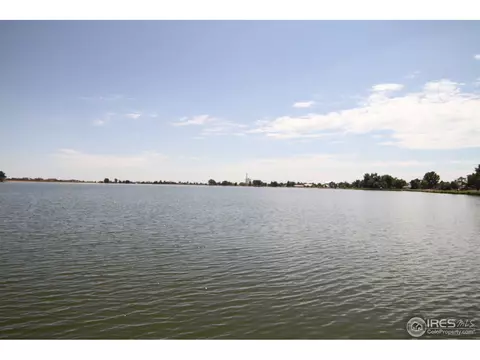 420 Madera Way, Windsor, CO 80550 photo 13