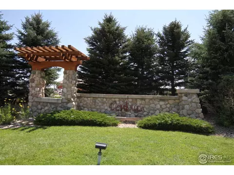 420 Madera Way, Windsor, CO 80550 photo 5