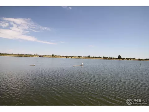 420 Madera Way, Windsor, CO 80550 photo 12