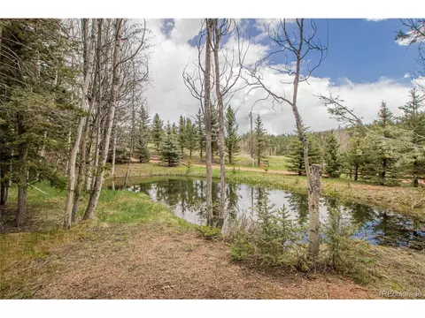 1699 Spring Valley Dr, Divide, CO 80814 photo 28