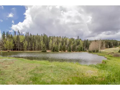 1699 Spring Valley Dr, Divide, CO 80814 photo 35
