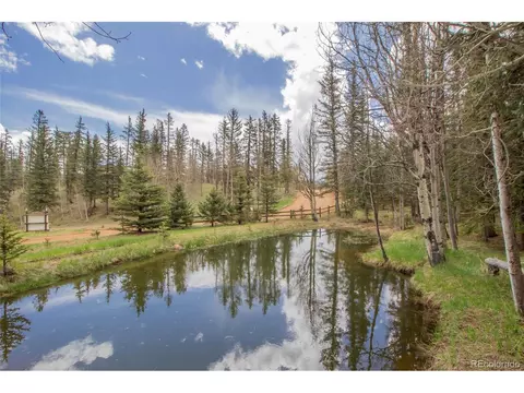 1699 Spring Valley Dr, Divide, CO 80814 photo 27