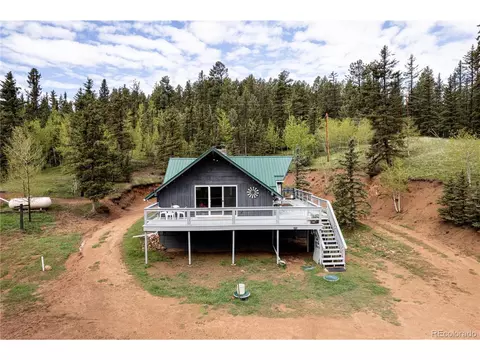 1699 Spring Valley Dr, Divide, CO 80814 photo 37