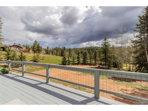 1699 Spring Valley Dr, Divide, CO 80814 photo 26