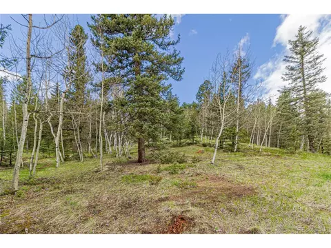 1699 Spring Valley Dr, Divide, CO 80814 photo 29