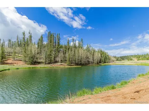 1699 Spring Valley Dr, Divide, CO 80814 photo 36
