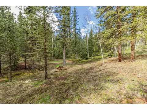 1699 Spring Valley Dr, Divide, CO 80814 photo 30