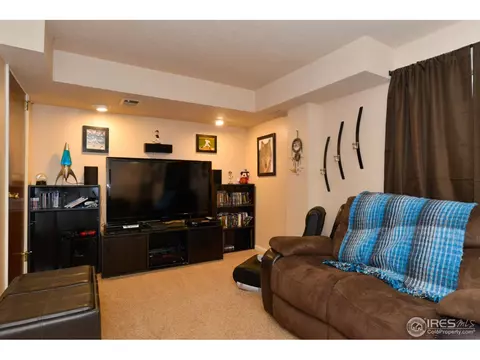 10771 Jackson Ct, Thornton, CO 80233 photo 19