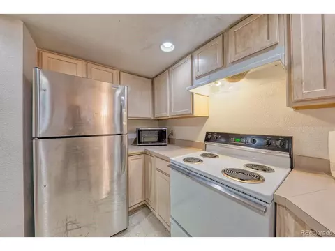 4276 S Eldridge St #101, Morrison, CO 80465 photo 10
