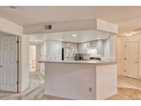 4276 S Eldridge St #101, Morrison, CO 80465 photo 8