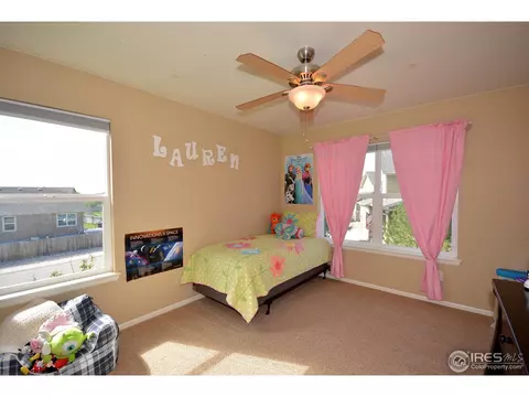 628 Lanley Dr, Windsor, CO 80550 photo 14
