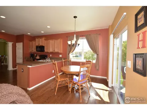 628 Lanley Dr, Windsor, CO 80550 photo 6