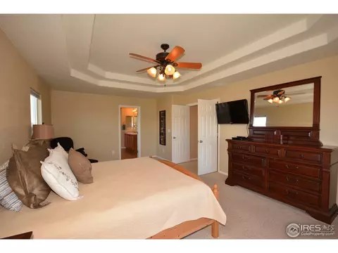 628 Lanley Dr, Windsor, CO 80550 photo 17