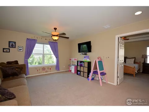 628 Lanley Dr, Windsor, CO 80550 photo 15