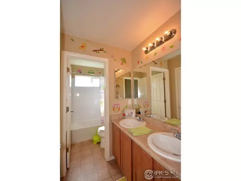 628 Lanley Dr, Windsor, CO 80550 photo 13