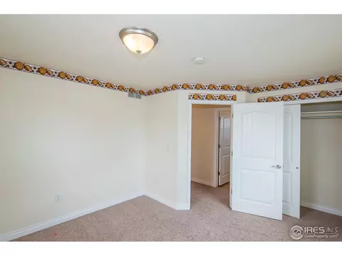 1115 Fairfield Ave, Windsor, CO 80550 photo 19