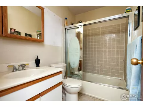 10929 E 109th Pl, Northglenn, CO 80233 photo 15