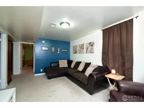 10929 E 109th Pl, Northglenn, CO 80233 photo 18