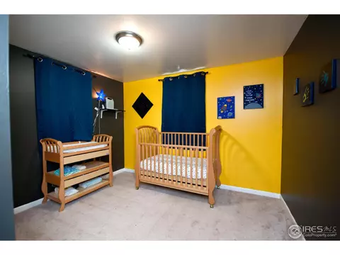 10929 E 109th Pl, Northglenn, CO 80233 photo 22