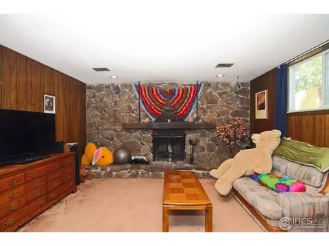 6655 Youngfield Ct, Arvada, CO 80004 photo 17