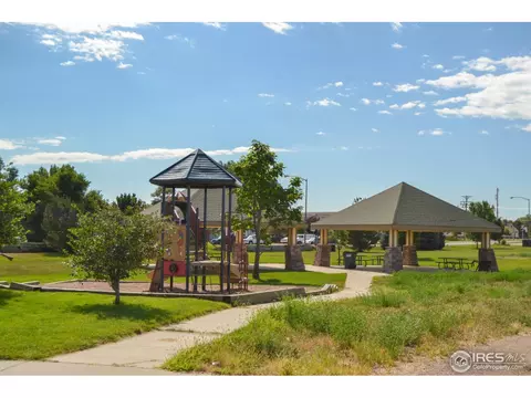 822 Durum St, Windsor, CO 80550 photo 25