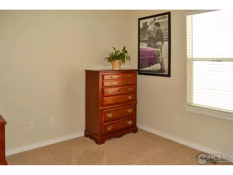 822 Durum St, Windsor, CO 80550 photo 15