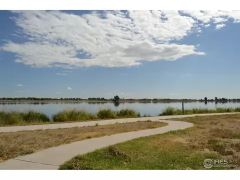 822 Durum St, Windsor, CO 80550 photo 22