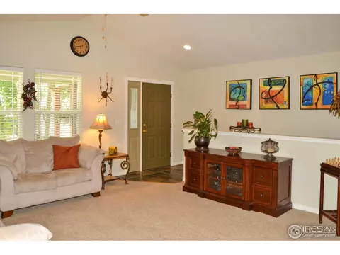 822 Durum St, Windsor, CO 80550 photo 8