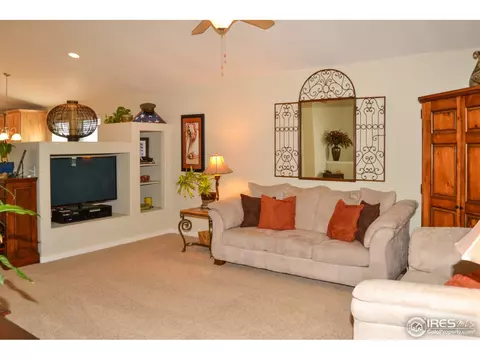 822 Durum St, Windsor, CO 80550 photo 10