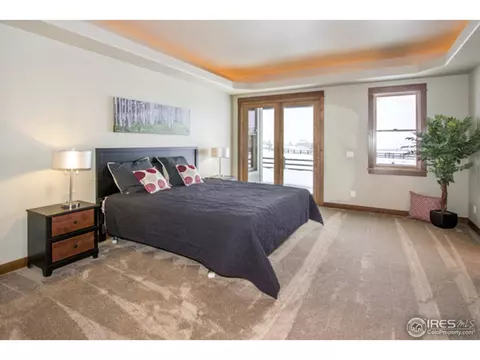 977 Hawkshead St, Timnath, CO 80547 photo 16