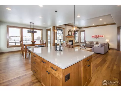 977 Hawkshead St, Timnath, CO 80547 photo 10