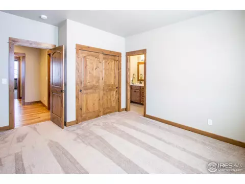 977 Hawkshead St, Timnath, CO 80547 photo 21