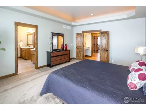 977 Hawkshead St, Timnath, CO 80547 photo 17