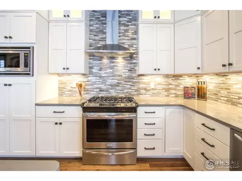 977 Hawkshead St, Timnath, CO 80547 photo 9