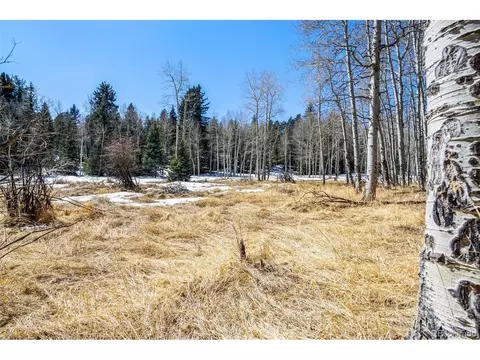 9360 S Warhawk Rd, Conifer, CO 80433 photo 12
