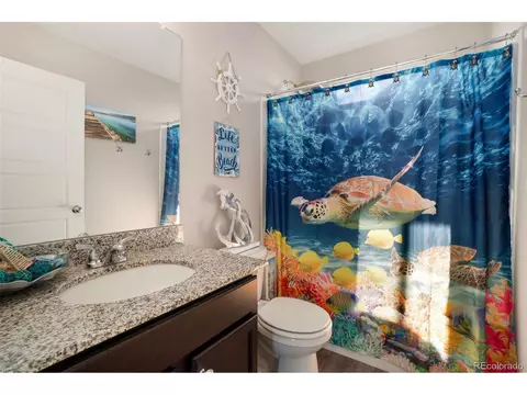 5367 Andes St, Denver, CO 80249 photo 19