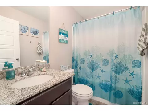 5367 Andes St, Denver, CO 80249 photo 20