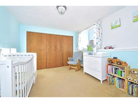 43 Ridge Cir, Divide, CO 80814 photo 19