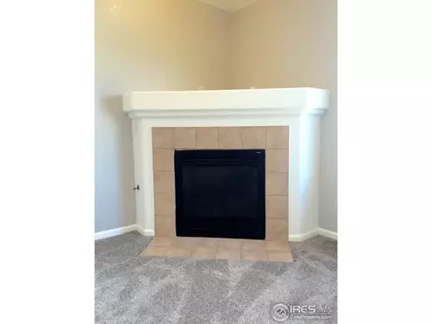 3241 E 103rd Pl #1006, Thornton, CO 80229 photo 8
