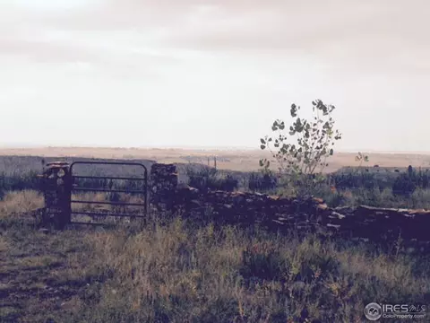 4580 Totonka Trl, Laporte, CO 80535 photo 10