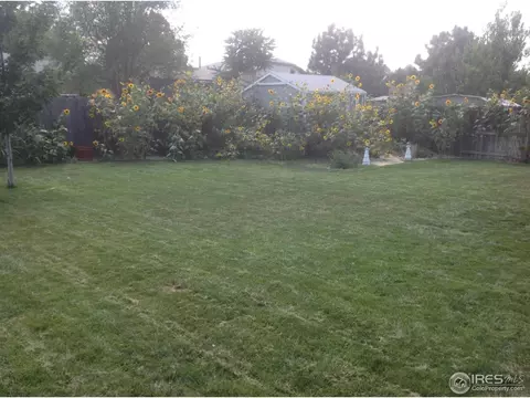 4142 E 117th Ct, Thornton, CO 80233 photo 12
