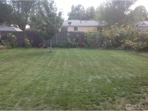 4142 E 117th Ct, Thornton, CO 80233 photo 11