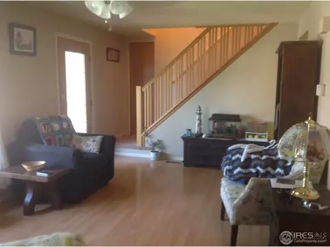 4142 E 117th Ct, Thornton, CO 80233 photo 3