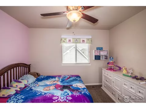 580 Wind River Dr, Windsor, CO 80550 photo 24