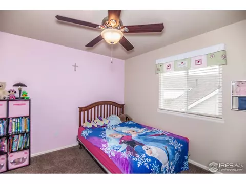 580 Wind River Dr, Windsor, CO 80550 photo 23